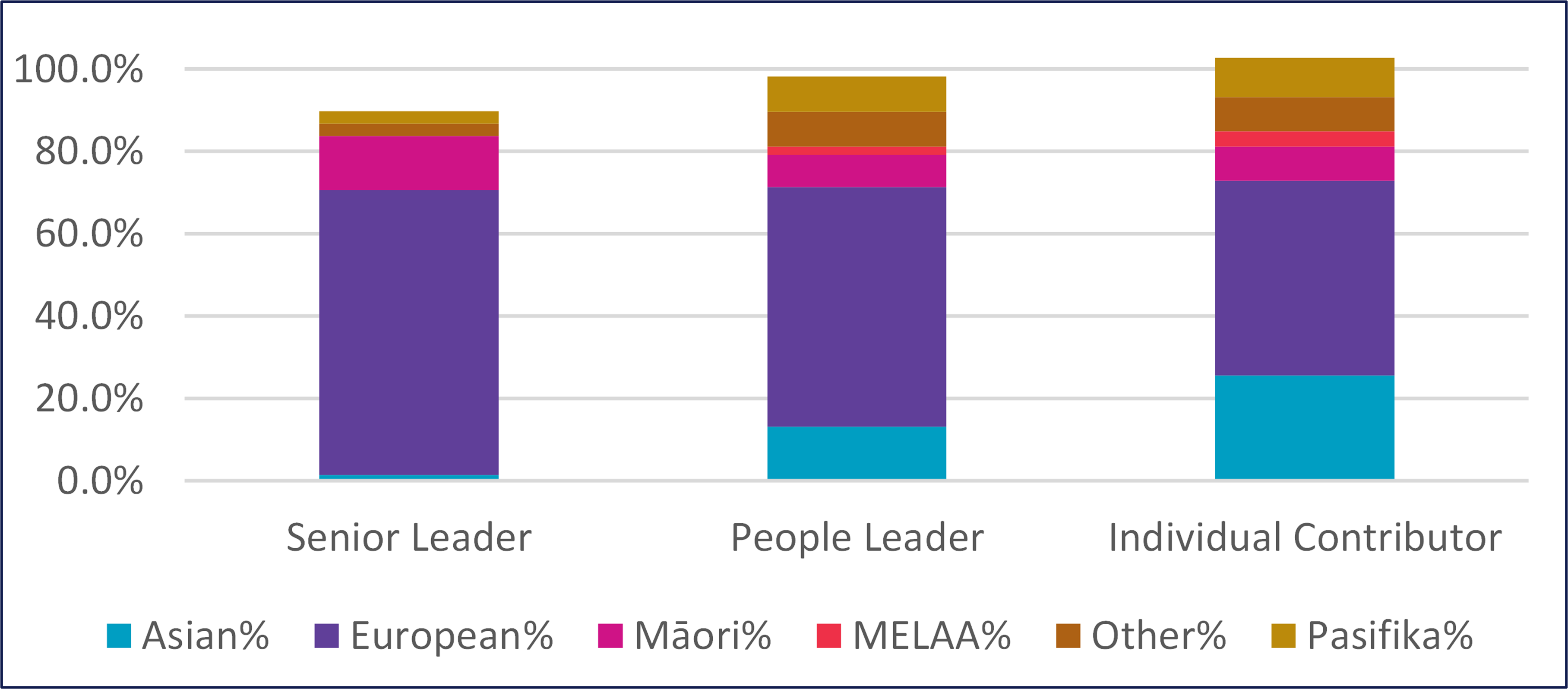 dei ethnic representation seniority