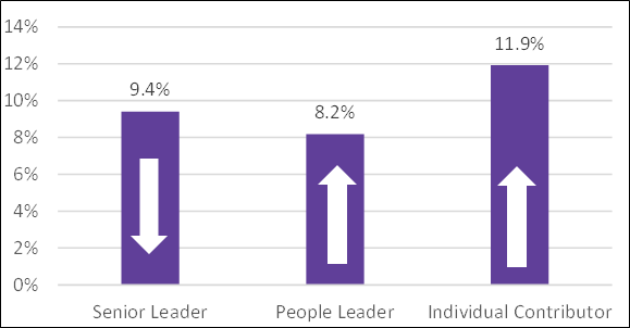 dei gender pay gap seniority