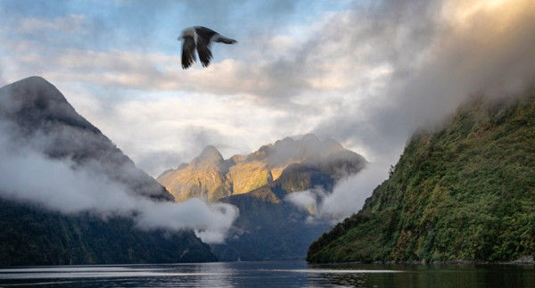 Photo: Mildford Sound with a dark lake surrounded by large mountains. A bird is flying in the sky.