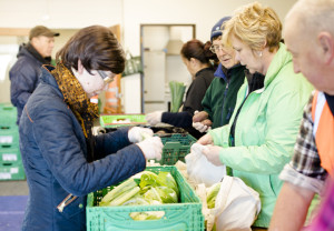 Photo: A group of people are busy packing vegetables into boxes.