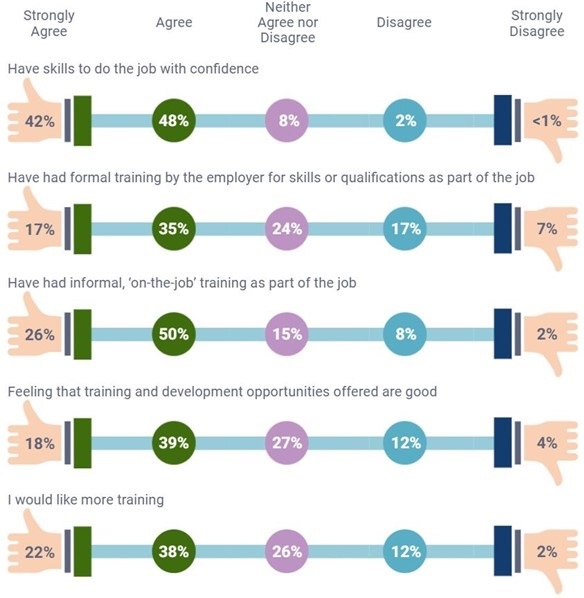 Figure 18. Job skills and training 