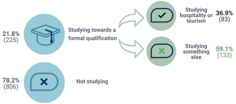 A tree diagram showing the number of respondents who are studying towards a formal qualification, and those who are not studying. Of those currently studying, there are 2 subdivisions representing those studying hospitality or tourism, and those studying something else. Full transcript below image.